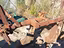 Immagine 2