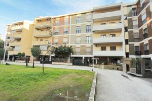 Cagliari ampio quadrivano piano alto con Postoauto