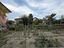 Immagine 22