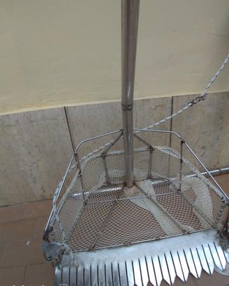 Tellinaro per telline in Acciaio Inox tra