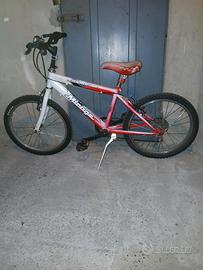 BICI 20