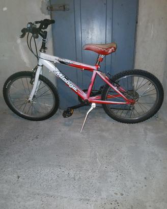 BICI 20