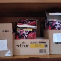 Lotti e Manco liste pokemon