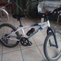 Bicicletta 20 pollici