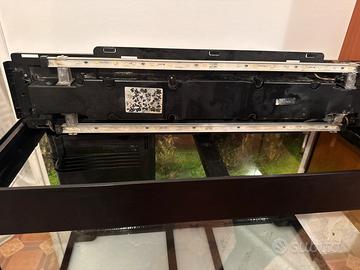 Acquario perfettamente funzionante