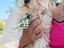 Immagine 1