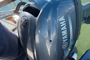 Motore Fuoribordo Yamaha FT  LMHL 9.9 gambo lungo