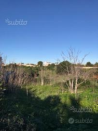 Terreno edificabile, 5 minuti a piedi dal centro