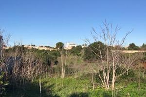 Terreno edificabile, 5 minuti a piedi dal centro