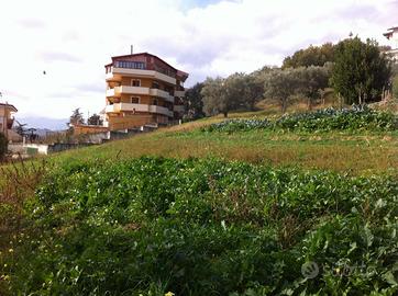 Terreno Montalto Scalo A F F A R E