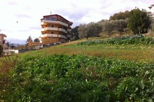 Terreno Montalto Scalo A F F A R E