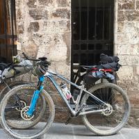 MTB 29 Merida