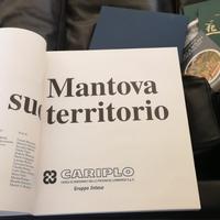 Libro Mantova e il suo territorio, 1999