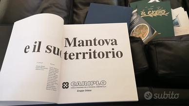 Libro Mantova e il suo territorio, 1999