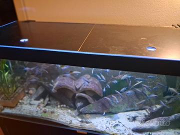 acquario 350 l.