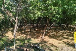 Appezzamento terreno