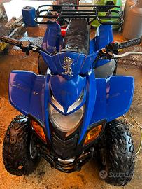 Quad Dinli 150