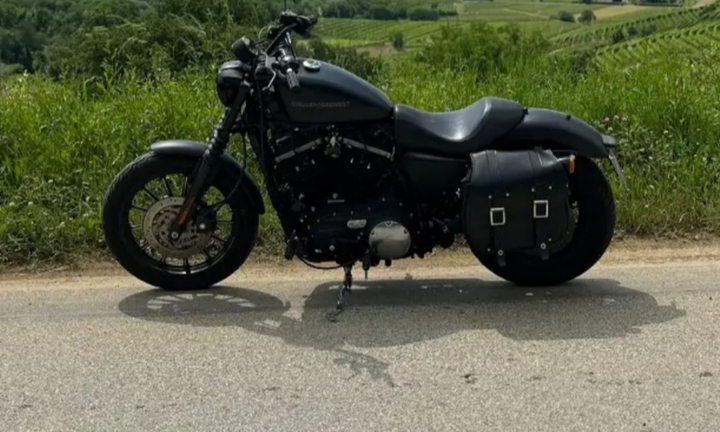 Harley Davidson 883 iron