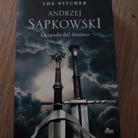 The Witcher Sapkowski la spada del destino