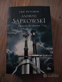 The Witcher Sapkowski la spada del destino