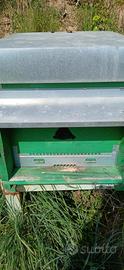 casette per apicoltura 