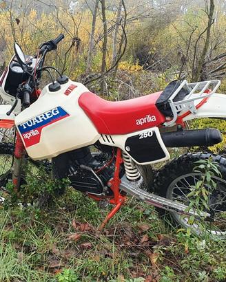 tuareg rally 250 1 serie