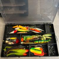 Attrezzatura completa spinning siluro