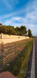 Terreno contrada Maricello Gravina in P