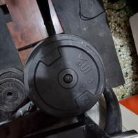 dischi in ghisa declaton da 10 5 2 1 kg