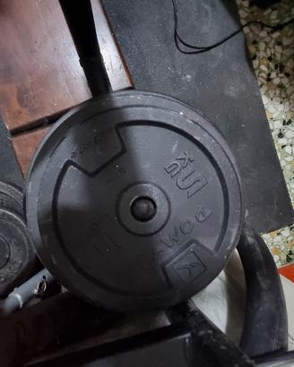 dischi in ghisa declaton da 10 5 2 1 kg