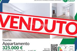 BILOCALE COMPLETAMENTE RISTRUTTURATO A CIPRO