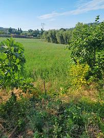 Vendita Terreno Agricolo Sant' Aquilina Rimini