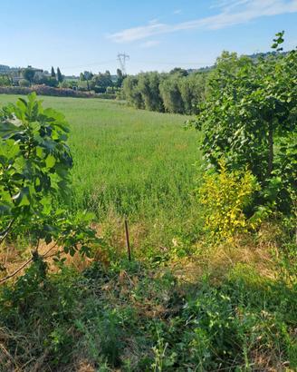 Vendita Terreno Agricolo Sant' Aquilina Rimini