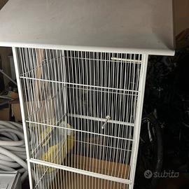 Gabbia per uccelli