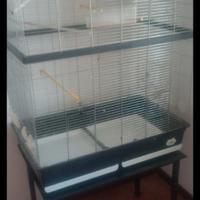  gabbia per uccelli🐦