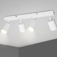 Faretti orientabili