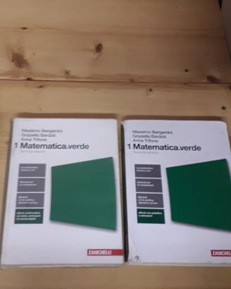 libro Matematica verde 1