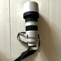 Obbiettivo Sony 200-600 G OSS