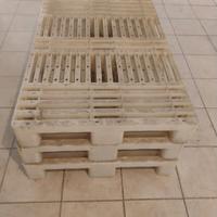 n. 3 bancali in plastica