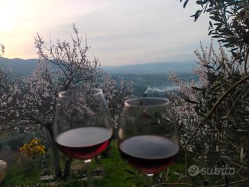 vino sfuso 