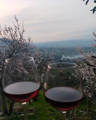 vino sfuso 