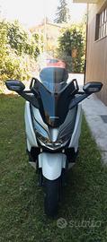 Forza 300