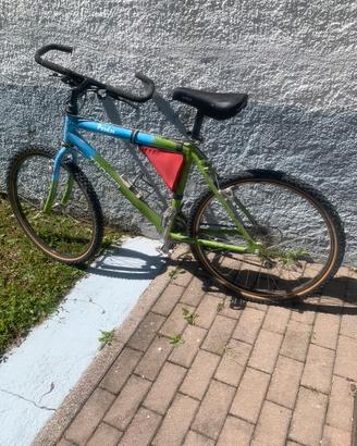 Bici mtb