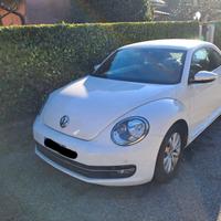 Maggiolino Beetle 2012