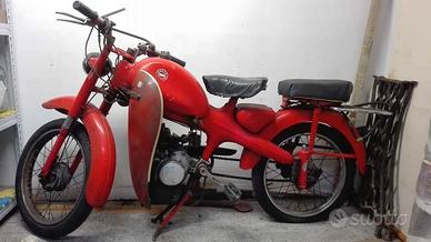 Motom 48 del 1964