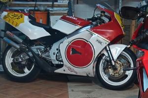 rgv 250
