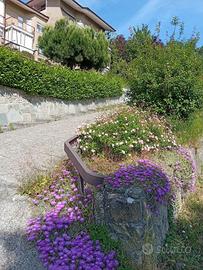 Appartamento Bossolasco [2AVRG]