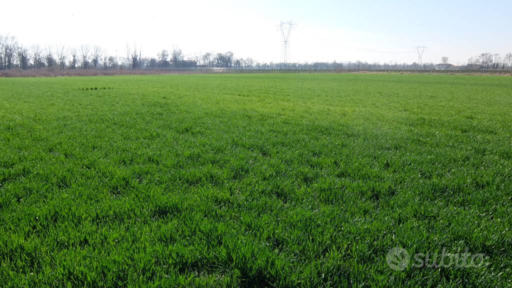 Terreno di 180 m² a Casale sul Sile - Altro