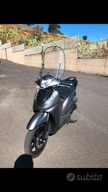 Sh 300 sport