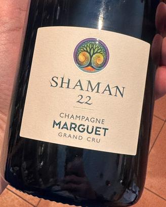 Bottiglie vino e champagne